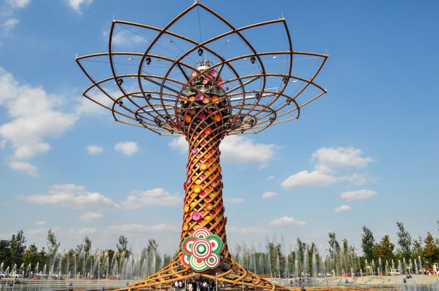 shutterstock_317289836 copia